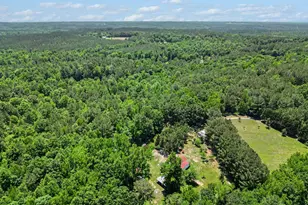 260 Ellis Rd, Moncure, NC 27559 - Photo 23