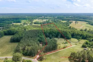 360 J B Leonard Rd, Castalia, NC 27816 - Photo 3
