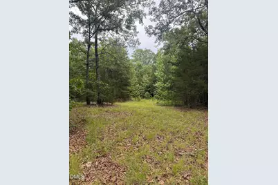 245 Brandon-Kelsey Drive, Siler City, NC 27344 - Photo 5