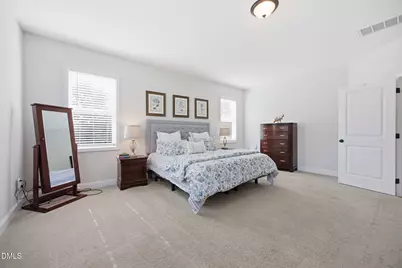 249 Lily Oak Drive, Rolesville, NC 27571 - Photo 25