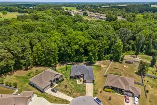 44 Drake Dr, Benson, NC 27504 - Photo 57