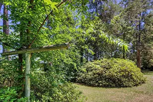 31 Melvin Clark Rd, Siler City, NC 27344 - Photo 49