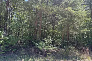 0 Moss Crk Dr, Milton, NC 27305 - Photo 1