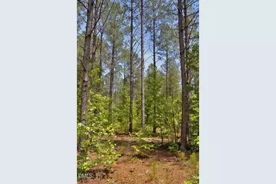 B G F Ball Road, Louisburg, NC 27549 - Photo 5