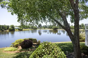 729 Crabtree Crossing Pkwy, Cary, NC 27513 - Photo 41