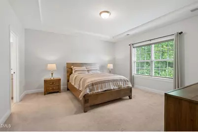 121 Barnwell Loop, Angier, NC 27501 - Photo 29
