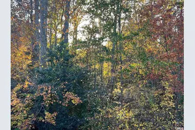 10216 San Remo Place, Wake Forest, NC 27587 - Photo 27