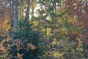 10216 San Remo Pl, Wake Forest, NC 27587 - Photo 27