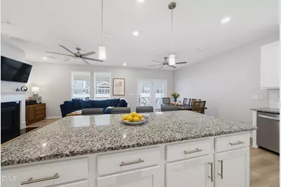 217 Steer Street, Rolesville, NC 27571 - Photo 17