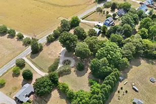 462 Darius Pearce Rd, Youngsville, NC 27596 - Photo 55