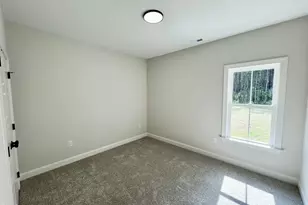 207 Hillstead Way, Smithfield, NC 27577 - Photo 19