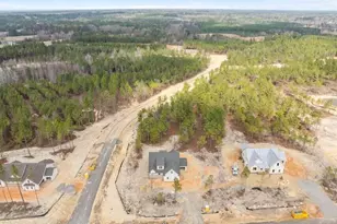 145 Vista Ridge Trail, Sanford, NC 27332 - Photo 11