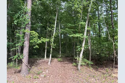 134 Mohawk Drive, Louisburg, NC 27549 - Photo 1