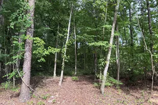 134 Mohawk Dr, Louisburg, NC 27549 - Photo 1