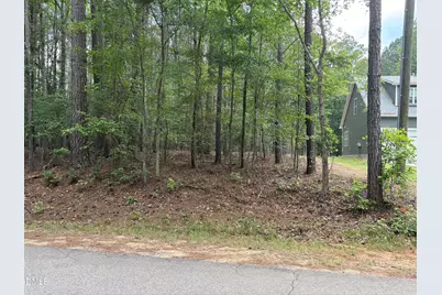 147 Sequoia Drive, Louisburg, NC 27549 - Photo 3