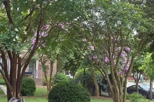 720 N Person St, Raleigh, NC 27604 - Photo 23