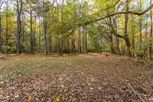 [Address not provided], Wendell, NC 27591 - Photo 37