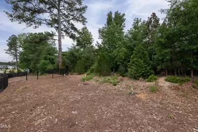 3440 Olive Glen Drive, Apex, NC 27502 - Photo 55