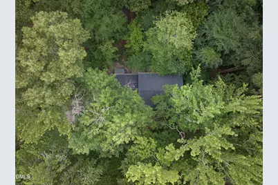 505 Longleaf Drive, Chapel Hill, NC 27517 - Photo 5
