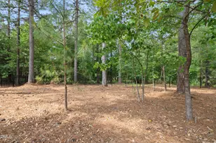 150 Green Haven Blvd, Youngsville, NC 27596 - Photo 33