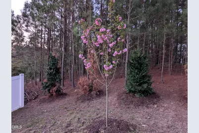 309 Napa Ridge Lane, Morrisville, NC 27560 - Photo 37