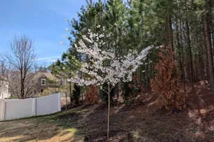 309 Napa Ridge Ln, Morrisville, NC 27560 - Photo 39