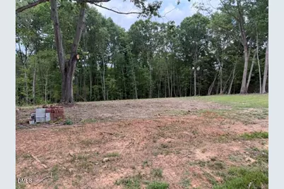 Lot 8 Heath Lane, Roxboro, NC 27574 - Photo 3