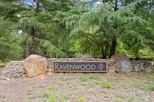 1620 Brook Run Dr, Raleigh, NC 27614 - Photo 19