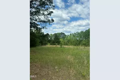 0 Nc-96, Youngsville, NC 27596 - Photo 3