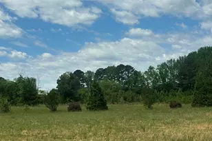 0 NC-96, Youngsville, NC 27596 - Photo 1