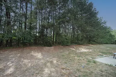 2718 Summer Stream Drive, Raleigh, NC 27610 - Photo 17