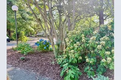 50 Glenmore Drive, Durham, NC 27707 - Photo 25