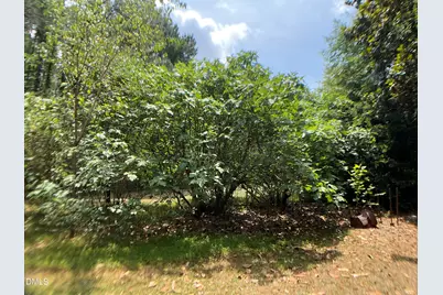 825 Old Ferrell Road, Knightdale, NC 27545 - Photo 35