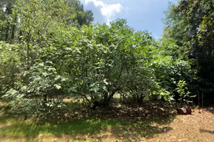 825 Old Ferrell Rd, Knightdale, NC 27545 - Photo 35