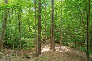 629 Brookview Dr, Chapel Hill, NC 27514 - Photo 27