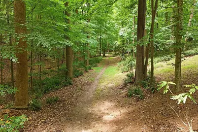 629 Brookview Drive, Chapel Hill, NC 27514 - Photo 27