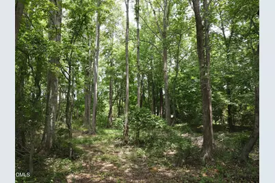 1814 J P Road, Whitakers, NC 27891 - Photo 11