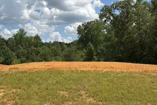 247 River Chapel Dr, Fuquay Varina, NC 27526 - Photo 45