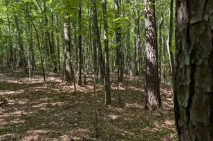 Tract B2 Thelma Rd, Roanoke Rapids, NC 27870 - Photo 1