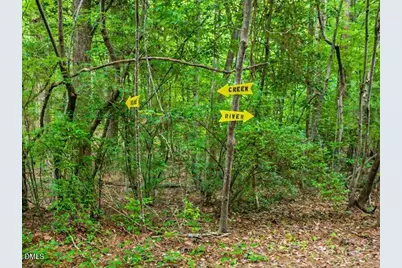 275 Mill Stone Extension Road, Moncure, NC 27559 - Photo 75