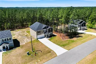 164 Rocking horse Ln, Sanford, NC 27332 - Photo 43