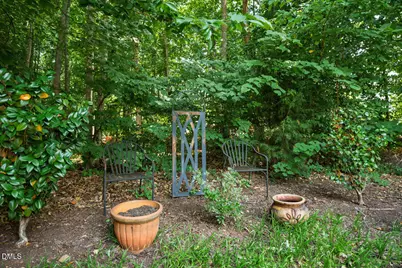 433 Botan Way, Hillsborough, NC 27278 - Photo 49