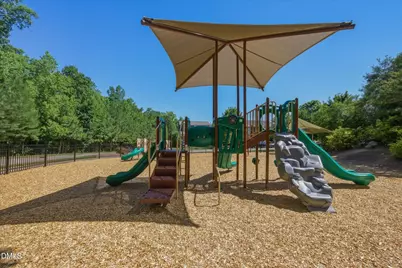 209 Deardom Way, Chapel Hill, NC 27517 - Photo 67