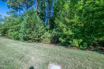 204 Traphill Drive, Morrisville, NC 27560 - Photo 19