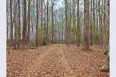 7793 Ridgeville Road, Leasburg, NC 27291 - Photo 51