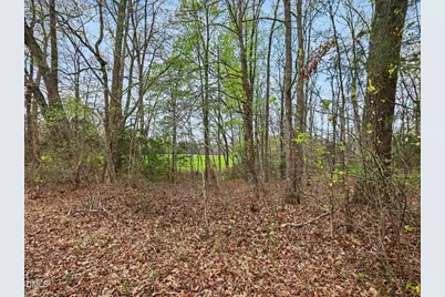 7793 Ridgeville Road, Leasburg, NC 27291 - Photo 47