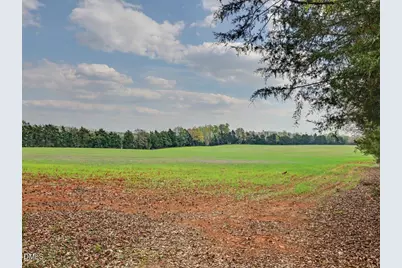 7793 Ridgeville Road, Leasburg, NC 27291 - Photo 53