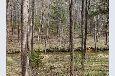7793 Ridgeville Road, Leasburg, NC 27291 - Photo 43