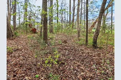 7793 Ridgeville Road, Leasburg, NC 27291 - Photo 83