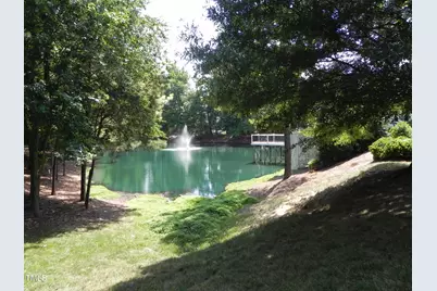 216 Castle Hayne Drive, Cary, NC 27519 - Photo 19
